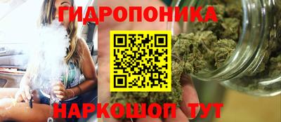 индика Малгобек