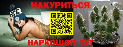 индика Малгобек