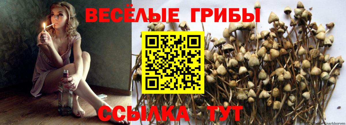 Галлюциногенные грибы мухоморы Владивосток